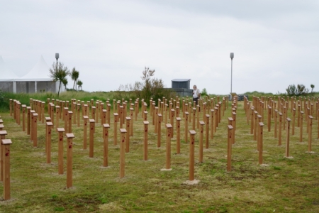 Final3 The finished product